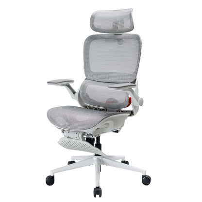 B100 Pro Chaise de bureau ergonomique