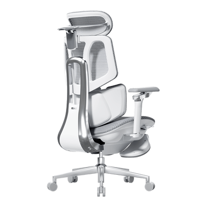 X7 Smart Ergonomic Office Chair with AI Lumbar Support