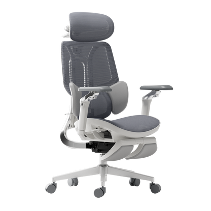 E3 Ultra Ergonomic Office Chair