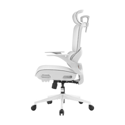 B100 Chaise de bureau ergonomique avec accoudoirs relevables
