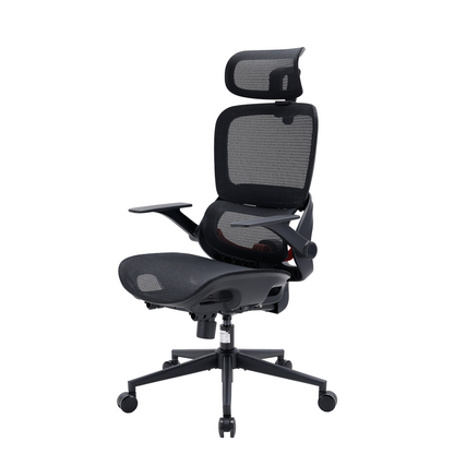 B100 Chaise de bureau ergonomique avec accoudoirs relevables