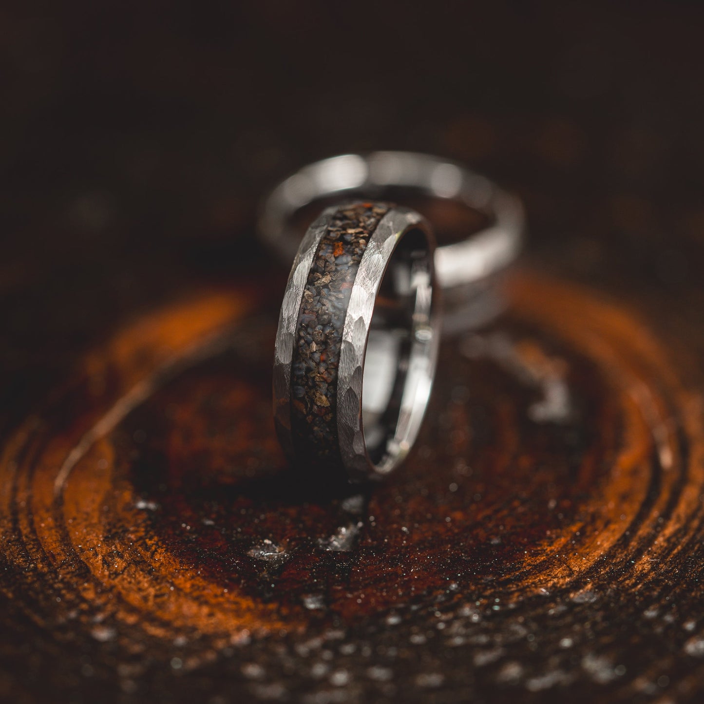 "HellCreek Ember"  Dinosaur Bone x Hammered Tungsten Carbide- Silver