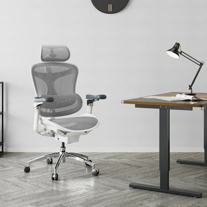 C300 Pro Chaise de bureau ergonomique