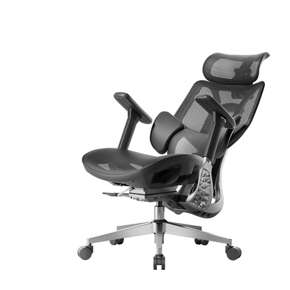 E3 Series Ergonomic Office Chair
