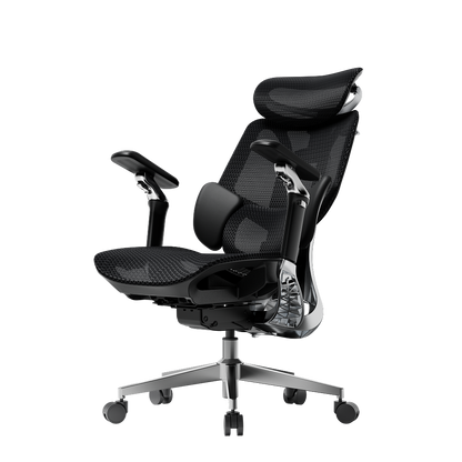 E3 Series Ergonomic Office Chair