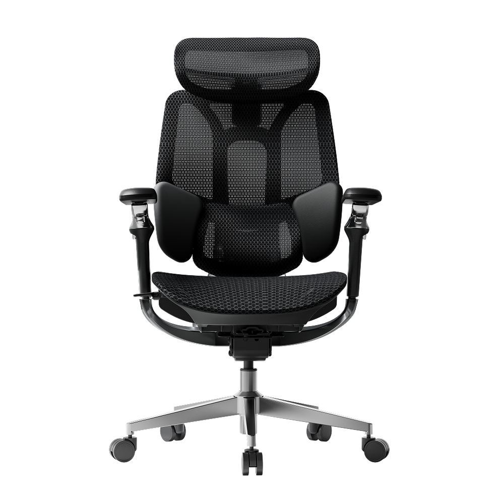 E3 Series Ergonomic Office Chair