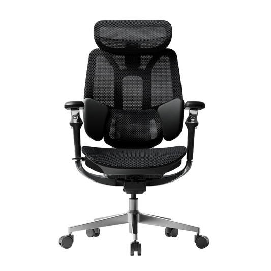 E3 Series Ergonomic Office Chair