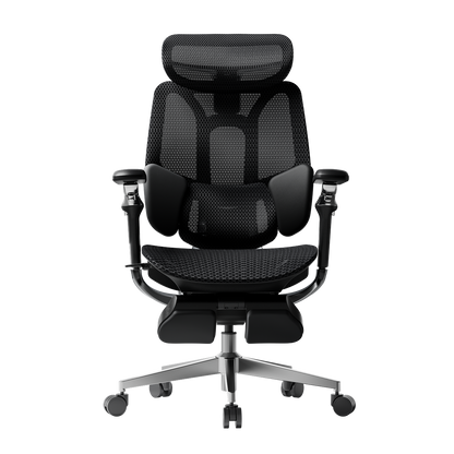 E3 Pro Ergonomic Office Chair 2026 Edition