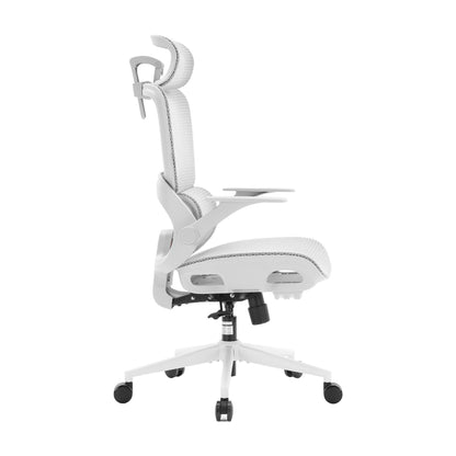 B100 Chaise de bureau ergonomique avec accoudoirs relevables