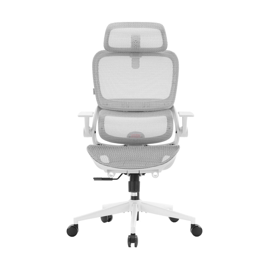 B100 Chaise de bureau ergonomique avec accoudoirs relevables
