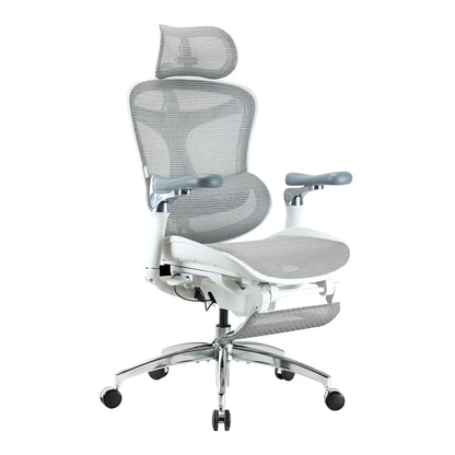 C300 Pro Chaise de bureau ergonomique
