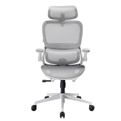 B100 Pro Chaise de bureau ergonomique